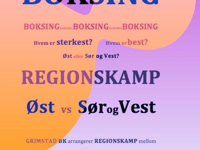 Regionskamp boksing