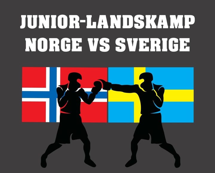 Landskamp Norge vs Sverige